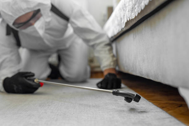 Professional Bed Bug Control technician working in Sandy Hook, CT