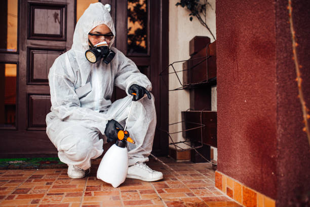 Reliable Bed Bug Control contractor in Sandy Hook, CT by Nex Pest Control